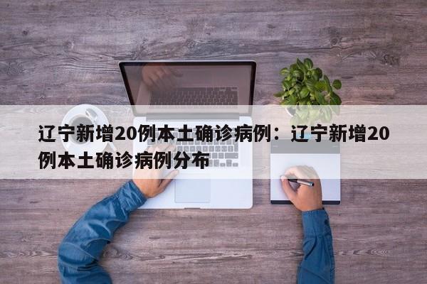 辽宁新增20例本土确诊病例:辽宁新增20例本土确诊病例分布