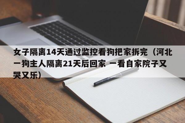 女子隔离14天通过监控看狗把家拆完(河北一狗主人隔离21天后回家 一看自家院子又哭又乐)