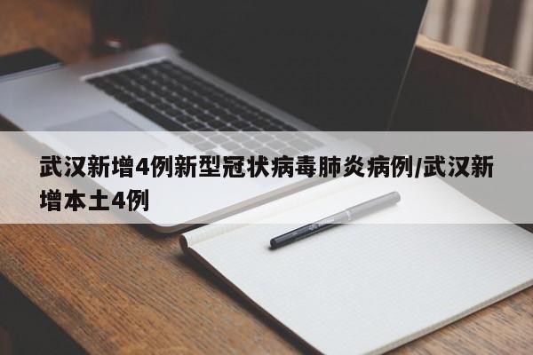 武汉新增4例新型冠状病毒肺炎病例/武汉新增本土4例