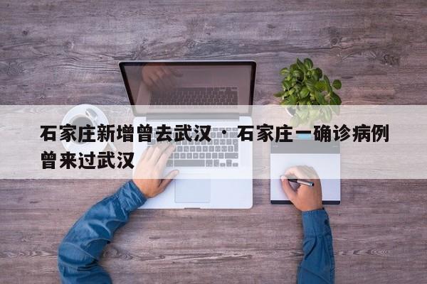 石家庄新增曾去武汉 · 石家庄一确诊病例曾来过武汉