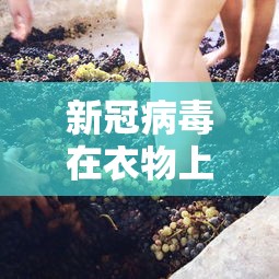 专家谈六安疫情焦点 · 六安疫情防控新闻发布会