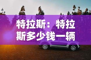 特拉斯：特拉斯多少钱一辆