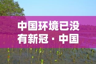 中国环境已没有新冠 · 中国环境已没有新冠了吗 中国环境已没有新冠 · 中国环境已没有新冠了吗