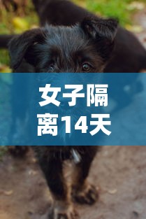 尹老太 · 尹老太去韩国割双眼