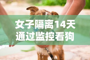 河北近期又出现疫情了(河北近几日疫情) 河北近期又出现疫情了(河北近几日疫情)