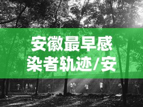 安徽最早感染者轨迹/安徽最初2名感染者或非零号病人