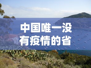 中国唯一没有疫情的省（中国没有疫情的省份是哪个省）