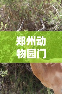 【郑州疫情有多严重? → 郑州疫情严重了?】 【郑州疫情有多严重? → 郑州疫情严重了?】