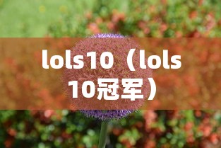 哈尔滨今日最新疫情：哈尔滨今日疫情数据
