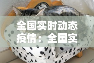 全国实时动态疫情：全国实时疫情信息公布
