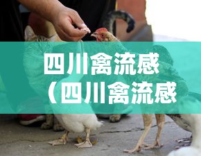 四川禽流感（四川禽流感最新消息2020传染人吗）