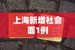上海新增社会面1例 上海新增社会面1例