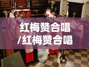 重庆九龙坡区新增1例确诊 重庆九龙坡区新增1例确诊