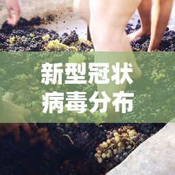 新型冠状病毒分布