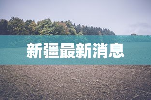 新疆最新消息