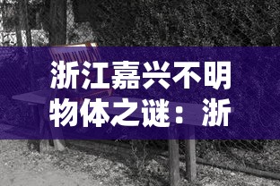 北京2022/北京2022年冬奥会和冬残奥会上,国家游泳中心