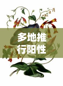 【极兔快递什么时候停运2024 → 极兔快递什么时候停运普宁】