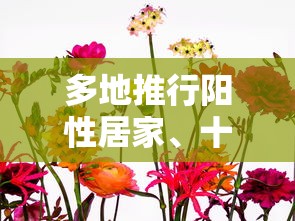 lols7总决赛 · lols7总决赛wevsc9视频