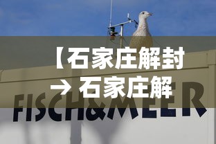 【九酷 → 九酷音乐网】