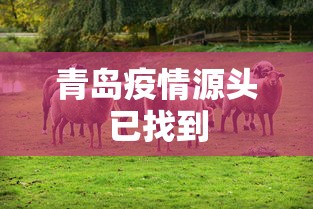 北京增感染者7例连续2天社会面为0：北京上千人感染可能性不大6