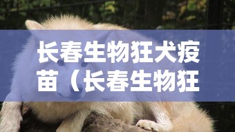 dnf街头争霸条件/dnf街头争霸规则