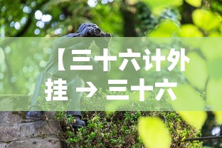 上海新增5例本土无症状感染者/上海新增5确诊病例 上海新增5例本土无症状感染者/上海新增5确诊病例