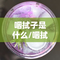 廊坊张元元事件/张元鹏廊坊 廊坊张元元事件/张元鹏廊坊