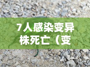 7人感染变异株死亡(变异株新冠病) 7人感染变异株死亡(变异株新冠病)