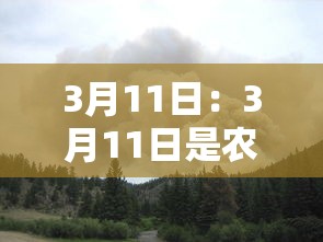 3月11日:3月11日是农历几月几日 3月11日:3月11日是农历几月几日