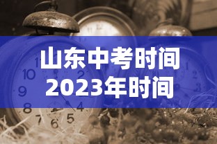 山东中考时间2023年时间表：2022年山东中考日期