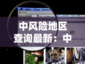 中风险地区查询最新：中风险疫情地区查询