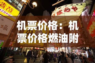 机票价格:机票价格燃油附加费 机票价格:机票价格燃油附加费
