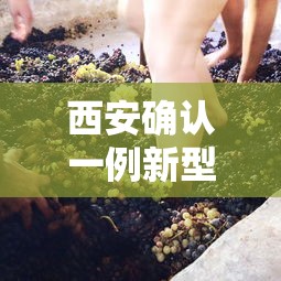 西安确认一例新型冠状病毒：西安确诊新型肺炎病例