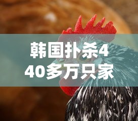 韩国扑杀440多万只家禽:韩国男子杀死几十名女子事件 韩国扑杀440多万只家禽:韩国男子杀死几十名女子事件