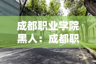 成都职业学院黑人：成都职业学校女学生黑人