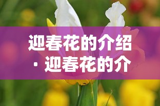 迎春花的介绍 · 迎春花的介绍50字 迎春花的介绍 · 迎春花的介绍50字