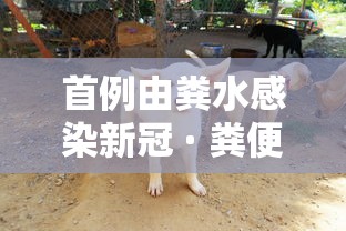 开挂辅助神器“德扑圈大菠萝辅助软件	”(开挂)辅助透视教程
