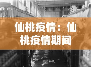 【残冬奥会奖牌榜 → 2021年冬残奥会中国金牌】