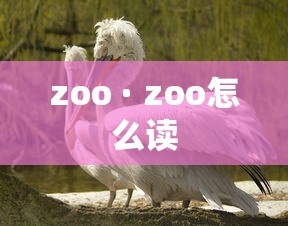31省区市新增确诊病例99例：31省市新增确诊病例54例