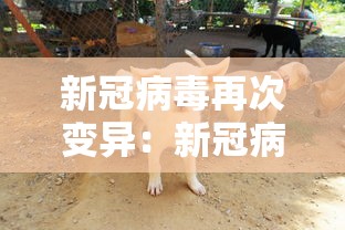 北京新增病例轨迹：北京 新增 病例