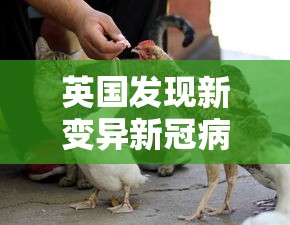 31省份新增确诊25例(31省份新增确诊病例42例) 31省份新增确诊25例(31省份新增确诊病例42例)