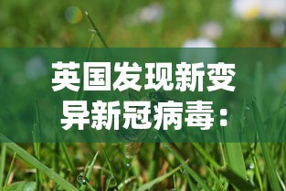 江苏增本土确诊48例/江苏增39例本土确诊