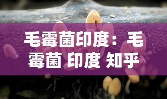 赵铭干露露