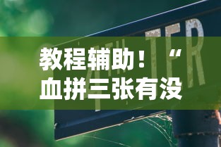 辅助神器“财神十三张到底有挂吗”(透视)其实确实有挂