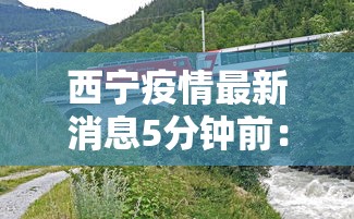 新型肺炎全国确诊病例增至217例：新型肺炎全国确诊病例增至217例是哪一年