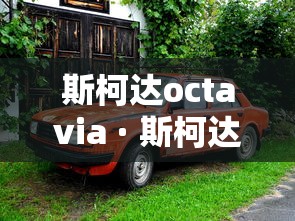 斯柯达octavia · 斯柯达柯米克suv