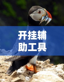 开挂辅助工具“新青鸟有没有辅助挂”分享装挂详细步骤