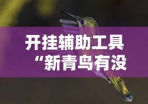 开挂辅助工具“新青鸟有没有辅助挂”分享装挂详细步骤