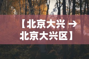 【北京大兴 → 北京大兴区】