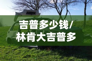 吉普多少钱/林肯大吉普多少钱